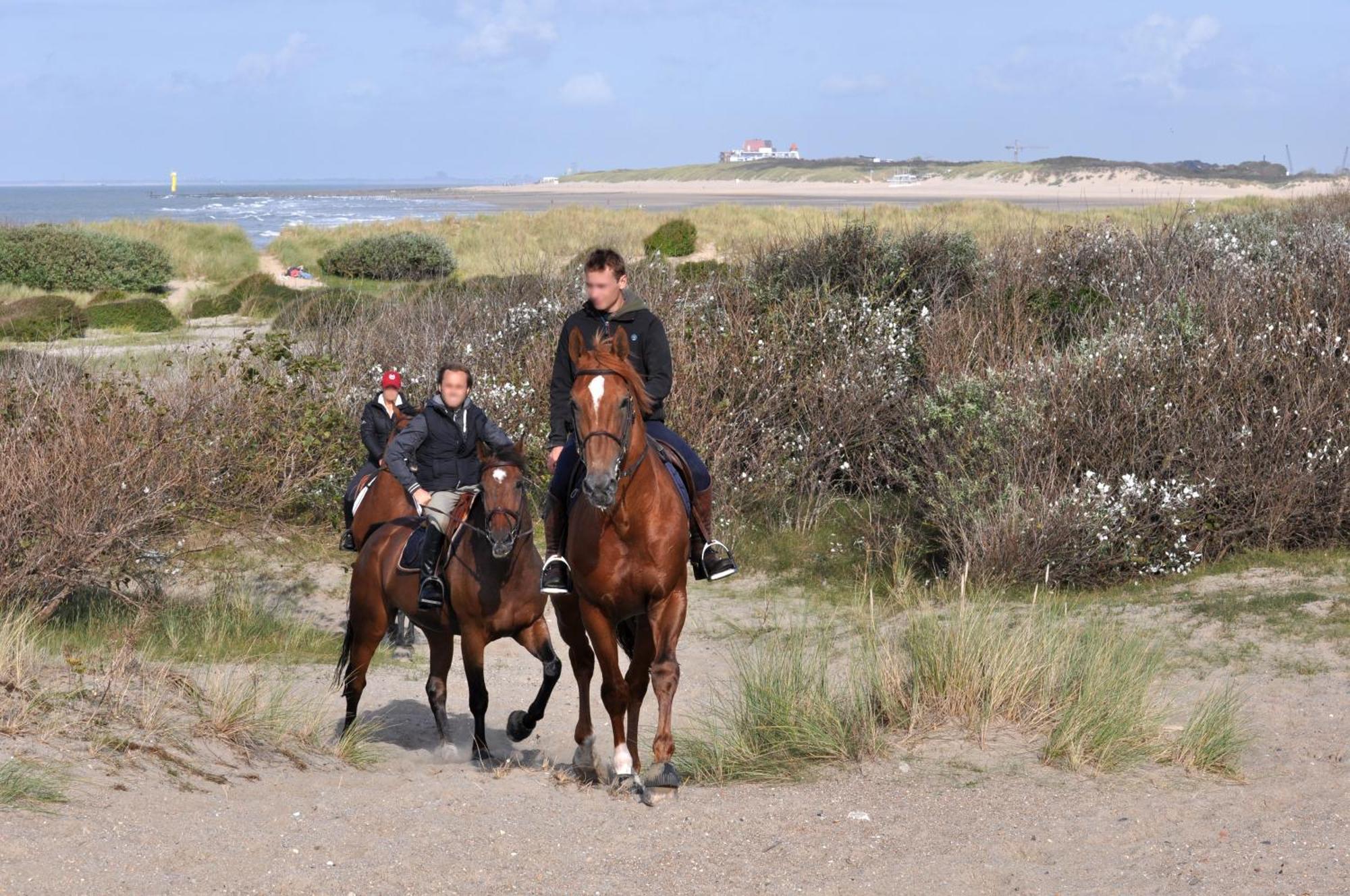 B&B Aquavit Knokke-Heist Zewnętrze zdjęcie